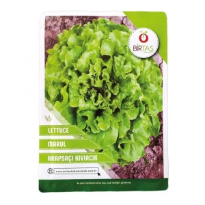 Birtaş Marul Tohumu - Arapsaçı Kıvırcık