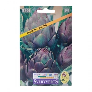 Sveryverts Enginar Tohumu