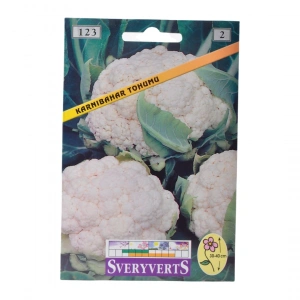 Sveryverts Karnabahar Tohumu