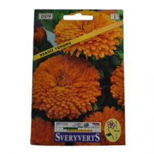 Sveryverts Nergiz Tohumu