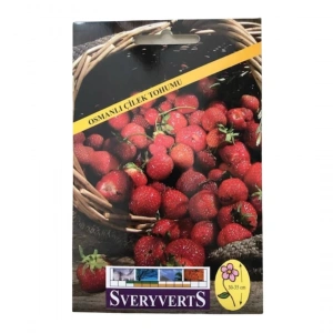 Sveryverts Osmanlı Çilek Tohumu
