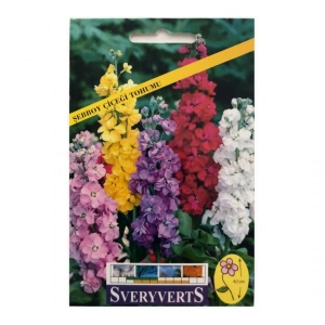 Sveryverts Şebboy Çiçeği Tohumu