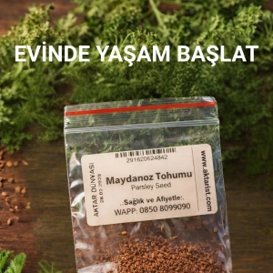 Aktarist Maydanoz Tohumu - Evinde Yaşam Başlat