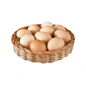 Aktarist Gezen Tavuk Yumurtası - Köy Yumurtası