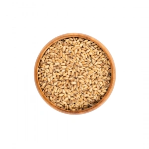 Aktarist Organik Diş Buğday Hediklik