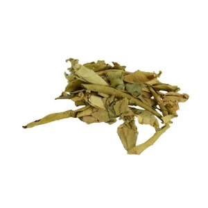 Aktarist Turunç Yaprağı