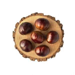 Aydın Duble İri Kestane