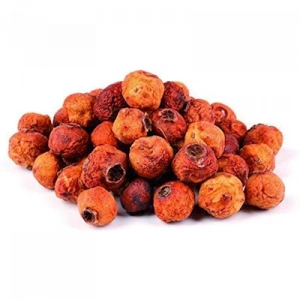 Aktarist Alıç Meyve Kurusu