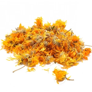 Aktarist Aynısefa - Portakal Nergisi Turuncu