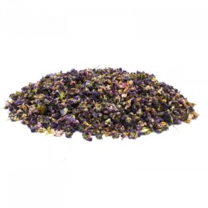 Aktarist Hercai Menekşe