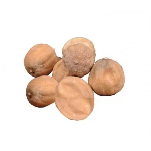 Aktarist Misket Limon Kurusu