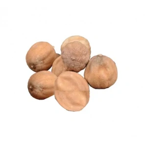 Aktarist Misket Limon Kurusu Adetli