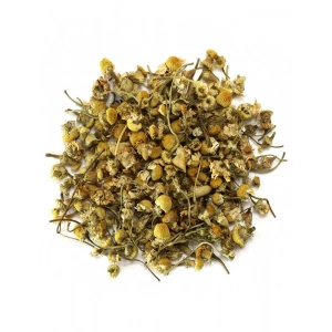 Aktarist Papatya - Kır Papatyası