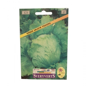 Sveryverts Göbek Salata Tohumu
