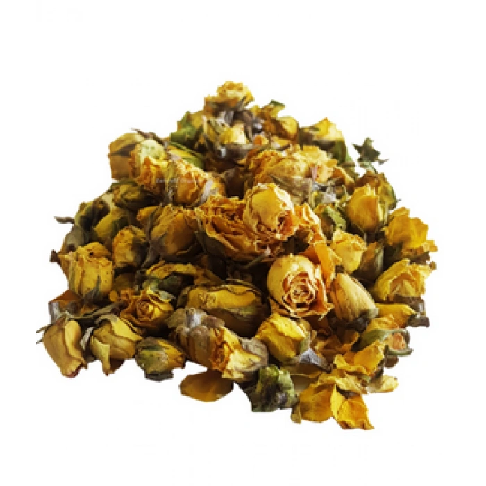 Aktarist Tomurcuk Gül - Sarı