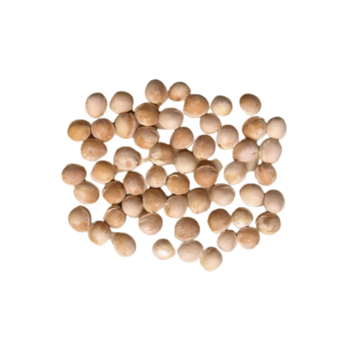 Aktarist Vişne Çekirdeği Tane