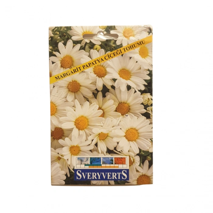 Sveryverts Margarit Papatya Çiçeği Tohumu