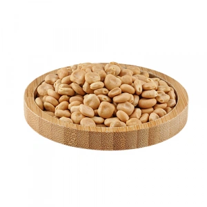 Aktarist Acı Bakla - Yahudi Baklası