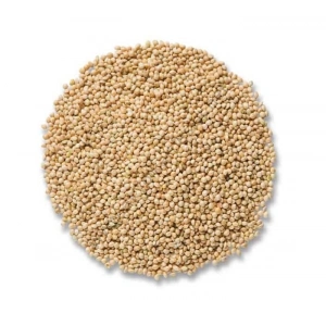 Aktarist Ak Darı - Muhabbet Papağan Bülbül Yemi