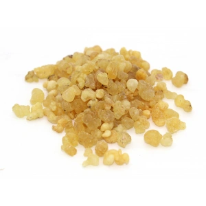 Aktarist Akgünlük Sakızı - İnce Buhur