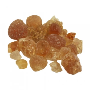 Aktarist Arap Zamkı