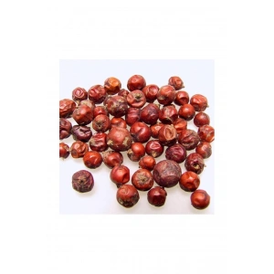 Aktarist Ardıç Tohumu