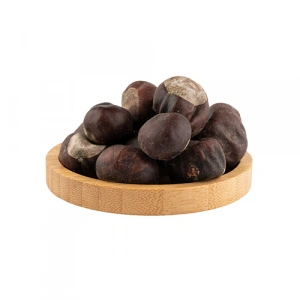 Aktarist At Kestanesi