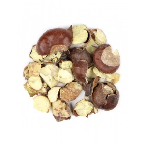 Aktarist At Kestanesi Granül