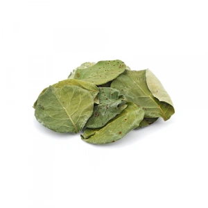 Aktarist Ayva Yaprağı