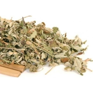 Aktarist Böğürtlen Yaprağı