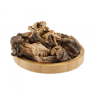 Aktarist Çakşır Kökü Erkek