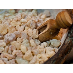 Aktarist Çam Sakızı - Kara Çam Reçinesi