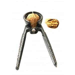 Aktarist Ceviz Kıracağı