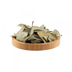 Aktarist Ceviz Yaprağı