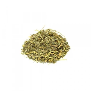 Aktarist Çoban Çökerten - Demir Dikeni