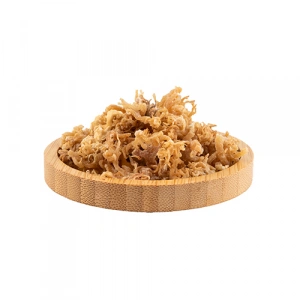 Aktarist Deniz Kadayıfı