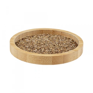 Aktarist Dereotu Tohumu