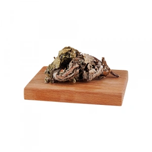 Aktarist Dulavrat Otu