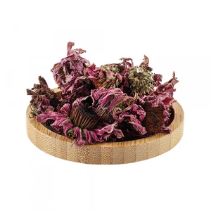 Aktarist Ekinezya Çiçek