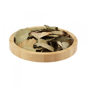 Aktarist Ginkgo Biloba Yaprak 1 Mabet Ağacı