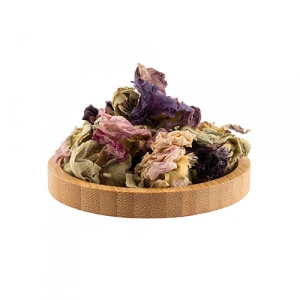 Aktarist Hatmi Çiçek