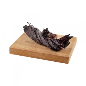 Aktarist Hava Civa Otu