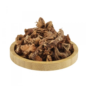 Aktarist Havlucan Tane