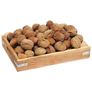 Aktarist Kabuklu Ceviz