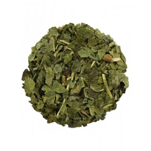 Aktarist Kara Dut Yaprağı