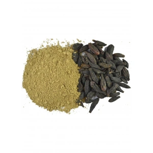 Aktarist Kara Halile Toz