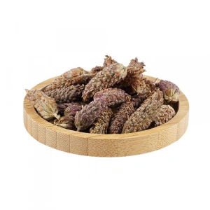 Karabaş Çiçeği Otu