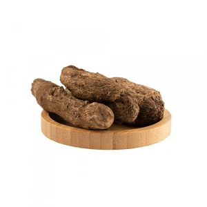 Aktarist Kediotu Kökü