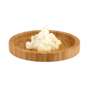 Aktarist Kefir Mayası 20ml