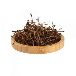 Aktarist Kiraz Sapı